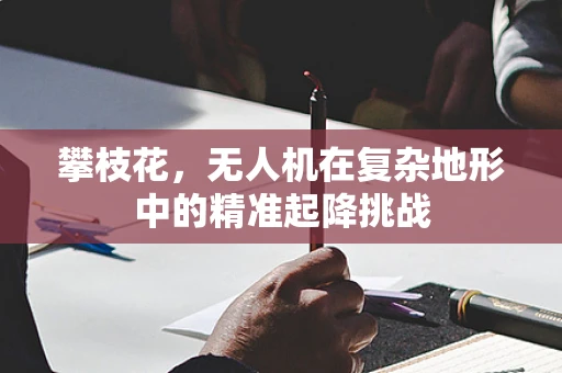 攀枝花，无人机在复杂地形中的精准起降挑战