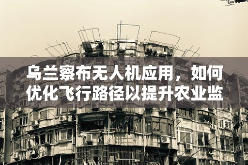 乌兰察布无人机应用，如何优化飞行路径以提升农业监测效率？