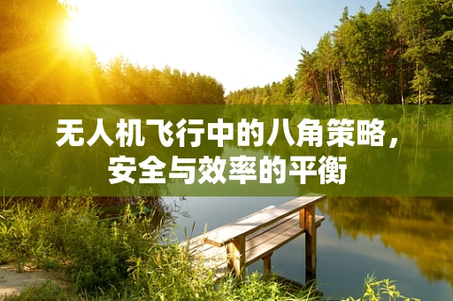 无人机飞行中的八角策略，安全与效率的平衡