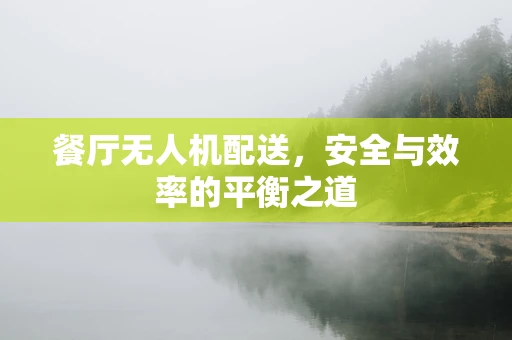 餐厅无人机配送，安全与效率的平衡之道