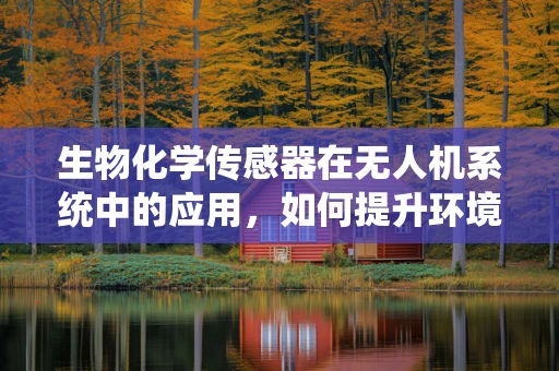 生物化学传感器在无人机系统中的应用，如何提升环境监测的精准度？