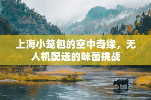 上海小笼包的空中奇缘，无人机配送的味蕾挑战