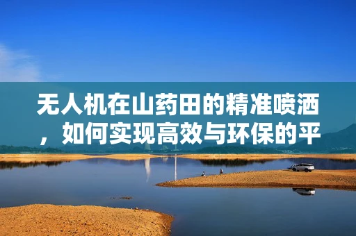 无人机在山药田的精准喷洒，如何实现高效与环保的平衡？