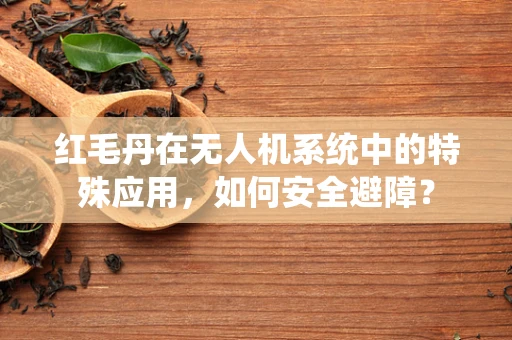 红毛丹在无人机系统中的特殊应用，如何安全避障？