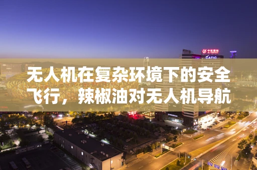 无人机在复杂环境下的安全飞行，辣椒油对无人机导航系统的影响及应对策略
