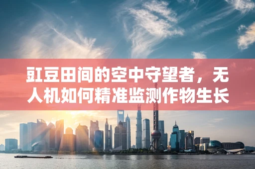 豇豆田间的空中守望者，无人机如何精准监测作物生长？