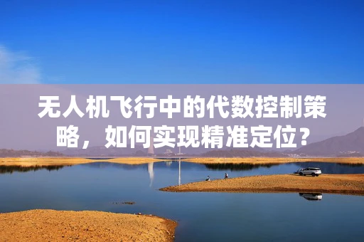 无人机飞行中的代数控制策略，如何实现精准定位？