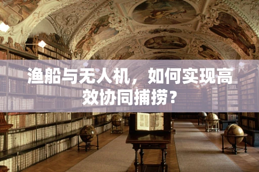渔船与无人机，如何实现高效协同捕捞？